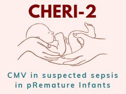 CHERI-2 logo