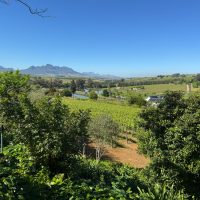 WhatsApp Image 2025-10-20 at 09.50.56_279ca074